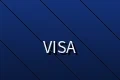 支持维萨信用卡支付